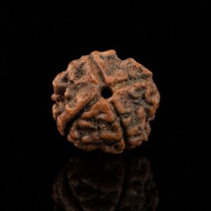 Amethyst 300 Chips Stone Tree