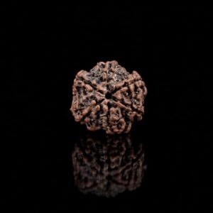 6 Mukhi  Nepali Rudraksha🌟