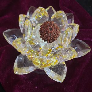 RUDRAKSHA